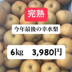 大特価！　幸水梨　石川県産　6㎏　訳ありじゃないですのサムネイル