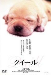中古】 NEW TV版 ドラえもん(10巻セット)171、172、173、174