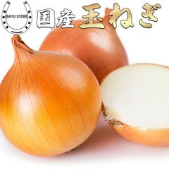 【常温便】大阪卸売市場仕入れ 玉ねぎ  国産 10kg サイズはばらばら 甘くて美味しい 国産 玉葱 玉ネギ たまねぎ 玉ねぎ タマネギ  カレーや煮物に 新鮮野菜  家庭用 業務用 新鮮 生鮮 野菜 やさい