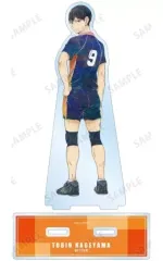 【中古】アクリルスタンド・アクリルパネル 影山飛雄 Ani-Art 第7弾 BIGアクリルスタンド 「ハイキュー!!」