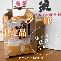 専用品　ひとめぼれ　5キロ　令和6年産