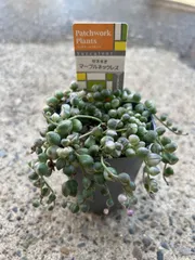 可愛い♡マーブルネックレス4個♡2.5号♡メルカリ便で 可愛い♡マーブルネックレス4個♡2.5号♡メルカリ便で