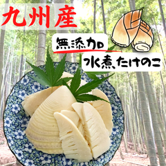 無添加　高品質水煮たけのこ　150g×4袋　計600g　熊本県、福岡県産 アジル