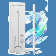 【在庫処分】mini対応 air/iPad Pro/iPad 2018年以降iPad/iPad スタイラスペン type-c充電式 USB 耐摩 軽量 誤作動防止機能 タッチペン 傾き感知/磁気吸着機能/超高感度 第10世代対応 ペンシル iPad 2023最
