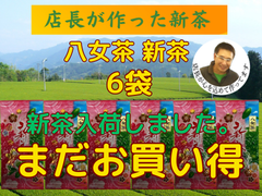 新茶入荷しました!!!全国  送料無料 健康 一番茶 日本茶 煎茶 緑茶 新茶 母の日 特上煎茶 八女茶　100g✕6袋  八十八夜