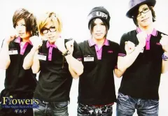 【中古】生写真(男性) ギルド/集合(4人)/横型・膝上・衣装黒ピンク・両手グー/CD「Flowers The Super Best of Love」HMV特典