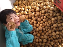 北海道産　じゃが芋とうや　正規品　5キロ