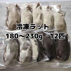 爬虫類のエサ　国産冷凍ラット　アダルト　180〜230g 12匹