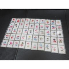 Item thumbnail for item 832cf92e-629c-4952-916e-0939b180695a