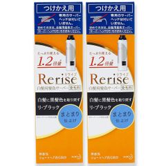花王 リライズ 白髪用髪色サーバー リ・ブラック まとまり仕上げ つけかえ用 (190g)×2個セット 付け替え用 染毛料 無香性