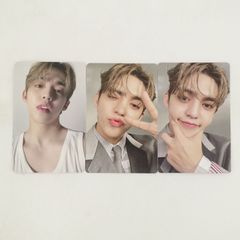 EXO ベッキョン トレギ カードホルダー トレカケース トレカ