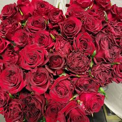 バラ クール便  50センチ 切花生花