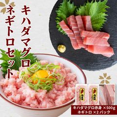 キハダマグロ赤身500g・手作りネギトロ500gセット【土佐洋】天然 まぐろ 鮪 ねぎとろ 丼