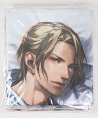 「囚われのパルマ」アオイ 着せ替え抱き枕カバー イーカプコン限定