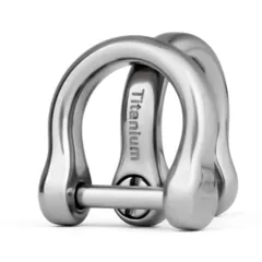 【特価セール】[FEGVE] キーリング チタン ミニ dリング 鍵 車 バイク キーホルダー かわいい キーチェーン 小 ドライバー付き (チタン 艶あり 2個入)