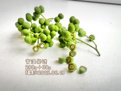 【最終10%OFF】常温郵送　夢農場　実山椒　200g+30g　長野県産　レターパックライト