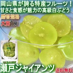 【予約：8/20～9/10予定】瀬戸ジャイアンツ 白ぶどう 約700g 岡山県産 贈答規格 JA共撰品 大房限定 皮ごと食べる高級葡萄！パリっとした食感と甘さが魅力のギフトフルーツ ブドウ