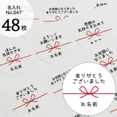 【名入れ無料】手書き風　ご挨拶・メッセージシール　結び　水引　No.S47