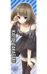 [중고] 동인 포스터·태피스트리·캘린더계 [아이돌 마스터] 스틱 포스터 타카가키 카에데(비둘기) MyBestFriends5/도산제