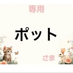 専用