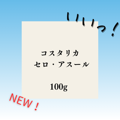 【3・4月の特別販売1】 コスタリカ セロアスール【アームズ珈琲®】