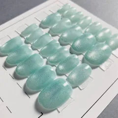 #17  12サイズ24枚 マグネットネイルチップ クリアグリーン ショートオーバル 付属品あり 現品 フルサイズ 即購入可