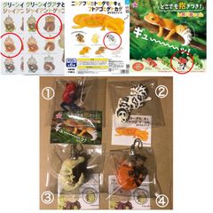 【56 雑貨】爬虫類 ガチャ ガシャポン フィギュア ミニチュア