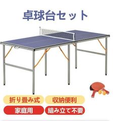 TIGORA 卓球台 国際規格サイズ セパレート式 引き取りでお願いします 