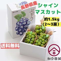 シャインマスカット　長野県産　2～3房　約1.5kg 産地直送　贈答用のサムネイル