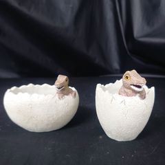 ディノゾールサークルポット 2個 セット レジン植木鉢　在庫希少