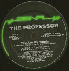 伊12” DJ Professor You Are My Words SIGNALCC Signal /00250
