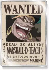 psa10.手配書.黒髭ティーチ 2025年最新】ティーチ 手配書 psa10の人気アイテム - メルカリ