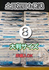 Item thumbnail for item 2297431e-1e47-42a4-9f1a-b3ac95124ae3