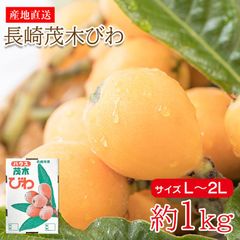 【5月初旬から順次ご発送】 【 長崎茂木びわ L ～ 2L 約1kg 目安 24個 前後 】送料無料 産地直送 長崎茂木びわ 茂木びわ 長崎びわ 長崎県産 茂木 びわ ビワ 枇杷 サイズ L ～ 2L 約 1kg 国産 ご自宅用 果物 くだもの  訳あり
