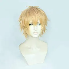 耐熱コスプレウィッグ 二番目の城 デンジ くすんだ金髪 ショートヘア cos wig パーティー 変装 +おまけ ネット