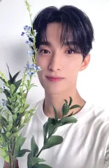 【中古】コレクションカード(男性) SEVENTEEN/ドギョム(DK)/CD「17 IS RIGHT HERE」(-DEAR Ver.-)封入ランダムフォトカード