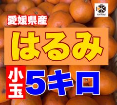 はるみ小玉5キロ
