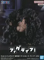 2026年最新】フィグライフ! 闇穴道!!! マーシャル・D・ティーチの人気