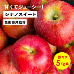 発送中「シナノスイート5キロ箱訳あり品」農林水産大臣賞 長野県産 安曇野 信州産
