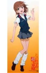とある科学の超電磁砲S 御坂美琴 御坂妹 タペストリー B1サイズ Amazon.co.jp: とある科学の超電磁砲S B2タペストリー デザイン