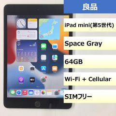 【良品】iPad mini (5th generation) Wi-Fi + Cellular/64GB/353179100159859