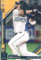 小谷野栄一選手着用オーダースパイク 小谷野栄一選手着用オーダースパイク 小谷野栄一選手着用オーダー