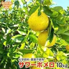 2025年最新】サワーポメロ 鹿児島の人気アイテム - メルカリ 2025年最新】サワーポメロ 鹿児島の人気アイテム - メルカリ