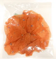 なにわ男子 21年なにわのにわ ビッグシュシュ