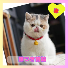 猫　ねこ　ネコ　首輪　鈴付き　コスプレ　衣装　赤　キャラクター　犬　イヌ　いぬ　軽量　撮影用　イベント