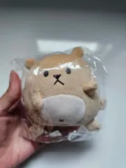 2025年最新】EXO カイ ぬいぐるみの人気アイテム - メルカリ