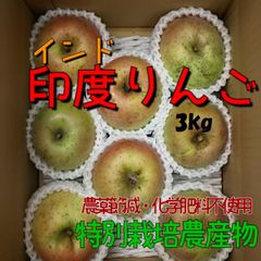 印度りんご3kg送料無料【特別栽培・JGAP認証】