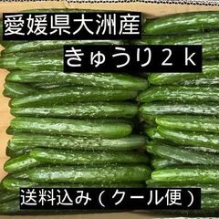 【愛媛県大洲産】きゅうり　2ｋ　（送料込み）