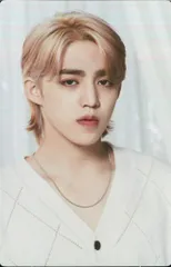 SEVENTEEN S.COUPS 2022 WORLD TOUR 'BE THE SUN' 43/82