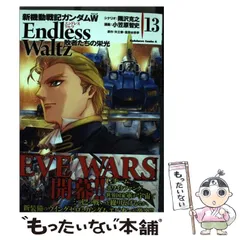 2026年最新】新機動戦記ガンダムW Endless Waltz 敗者たちの栄光(14